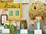 花めぐみ 用賀店