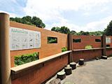 砧公園