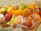 新宿高野本店