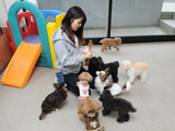 犬のようちえん駒沢公園教室