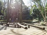 芹ヶ谷公園