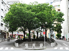 こんな街で暮らしたい! 麻布十番