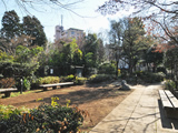江原屋敷森緑地