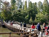 井の頭恩賜公園